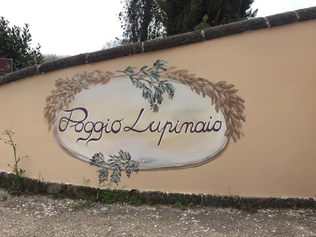 Podere Poggio Lupinaio San Martino sul Fiora Bagian luar foto