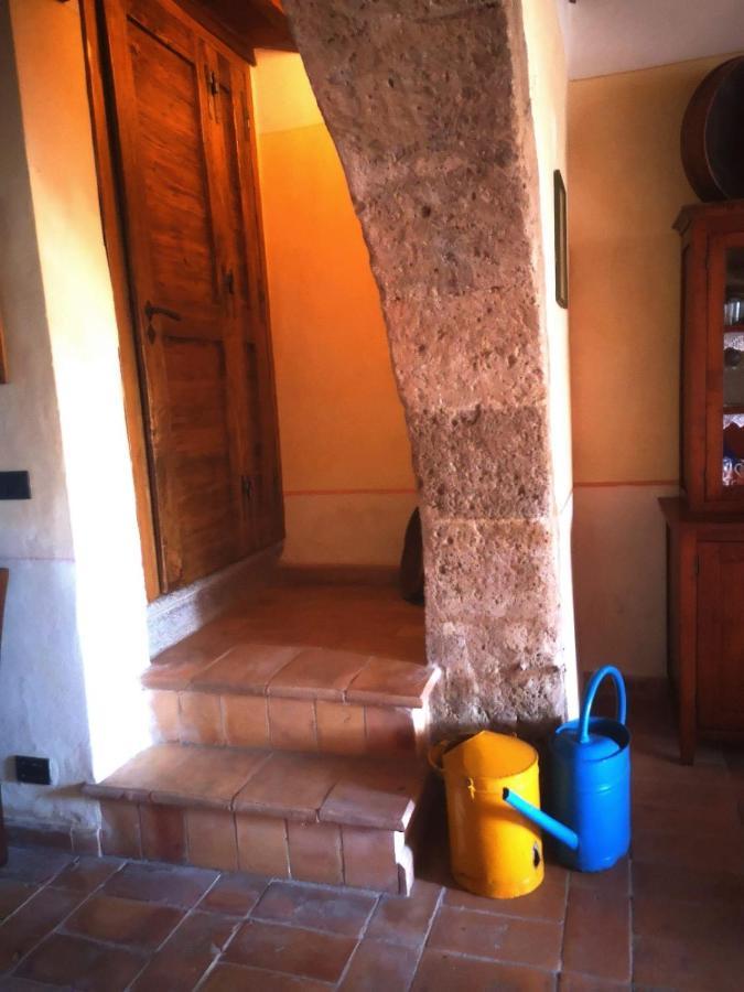 Podere Poggio Lupinaio San Martino sul Fiora Bagian luar foto